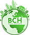 BCH Real Estate Logo